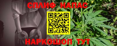 прущие грибы Ливны